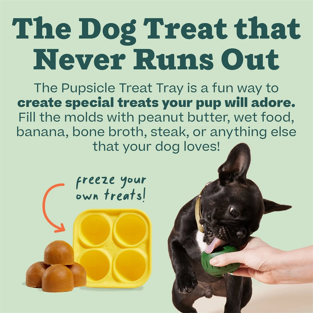 https://ae01.alicdn.com/kf/S3cd1d4f766354d49bf399fc09555a1625/Dog-Food-Toys-New-Woof-Pupsicle-Refillable-Easy-Clean-Natural-Rubber-Long-Lasting-Ball-Simple-Durable.jpg