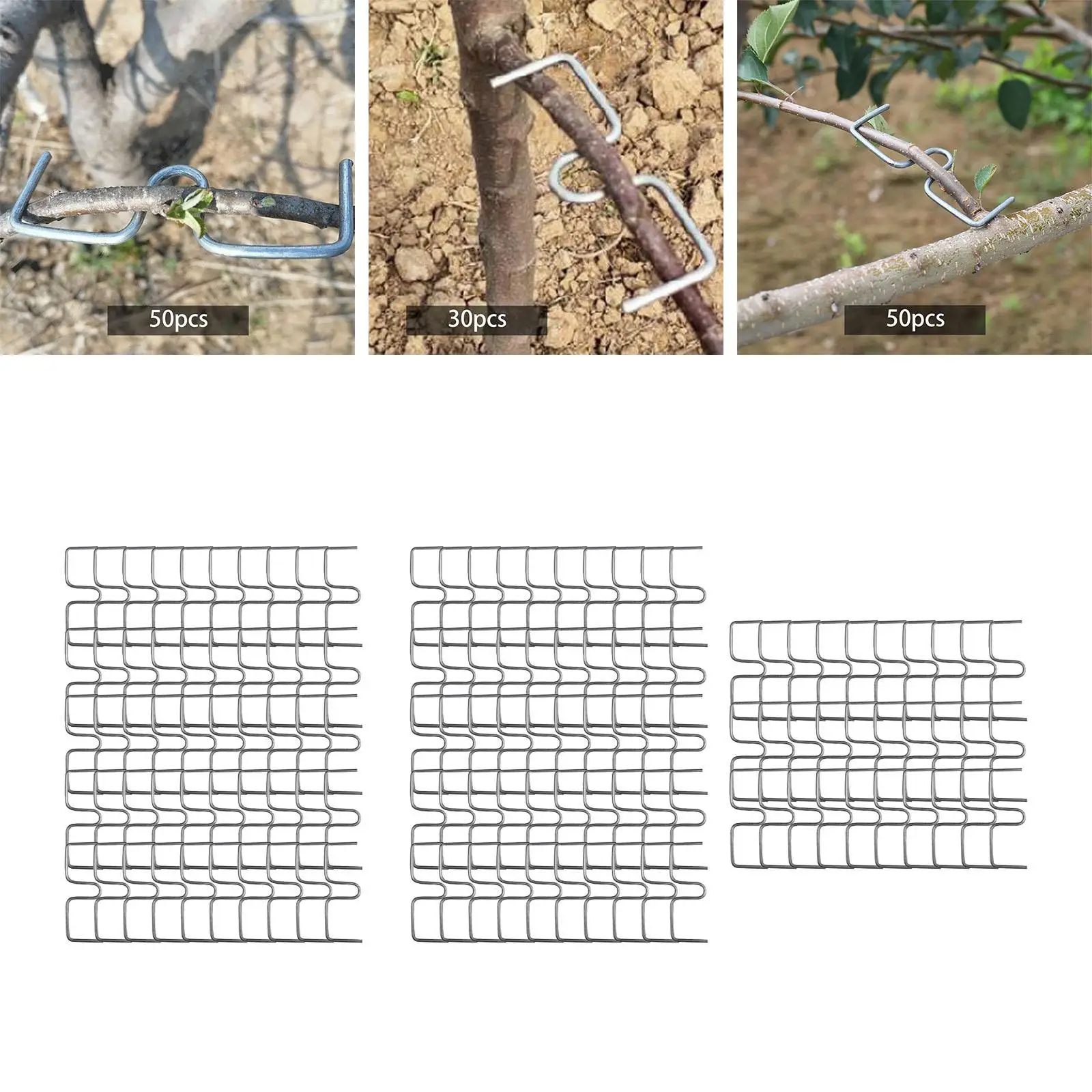Plant Ties Tree Branch Fixator 50x Fruit Tree Branch Puller Branch Tying Potted Plants Strong Spreading Crotch Angles Orange Plum