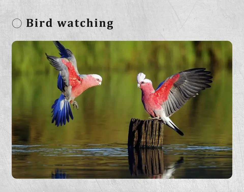 Teleskop z zoomem 10-300x40 HD Przenośna, mocna lornetka Profesjonalny monokular dalekiego zasięgu Niski noktowizor do polowań 22 S3cd63335a3534913af93818c01a58659m Teleskop z zoomem 10-300x40 HD Przenośna, mocna lornetka Profesjonalny monokular dalekiego zasięgu Niski noktowizor do polowań