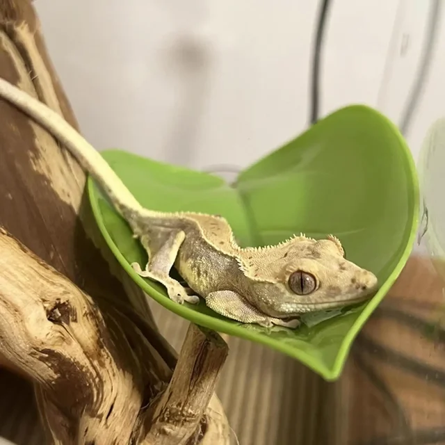 Reptile Basking Area Habitat Terrace Suction Cups Tank Accessories for Dwarf Frogs Leopard Gecko Toads Leaf Shape Decor For
