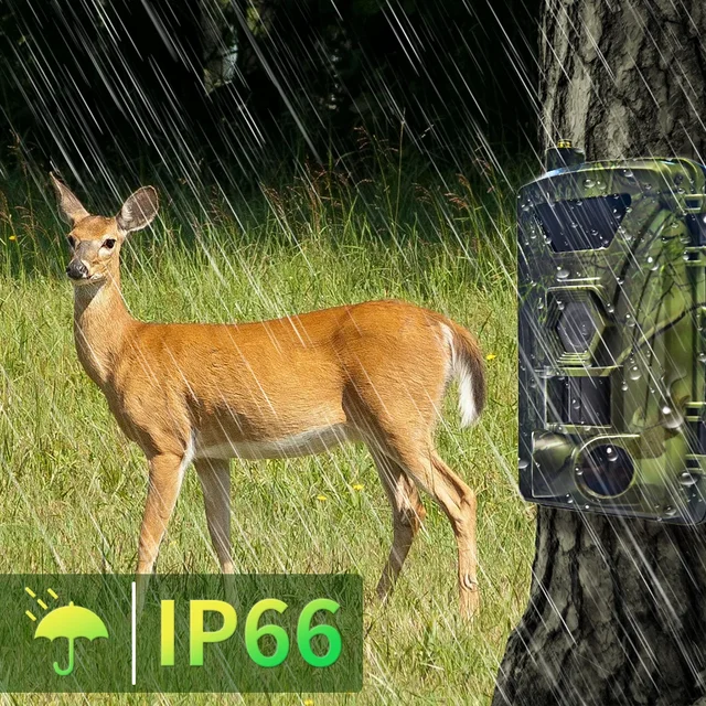Hunting Camera PR802G HD 4G Trail Camera – 4K Video, 60MP Photos, 0.3s Fast Trigger & IP65 Waterproof for Hunting/Security 2