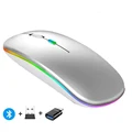 LED Sliver with OTG