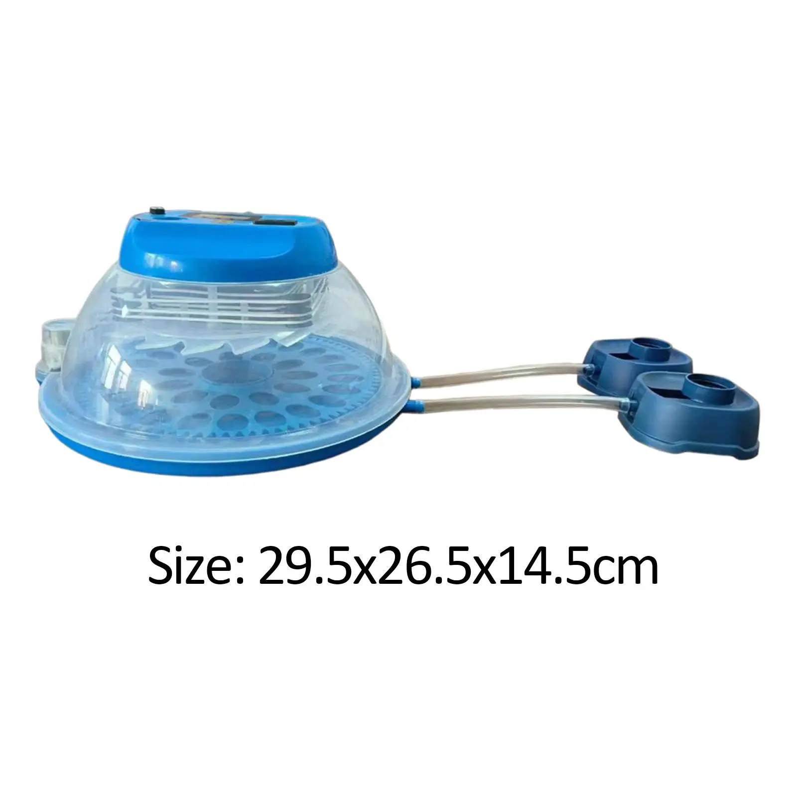  ȭ ڵ  , ݷ ȭ, ߶ ѱ     ȭ