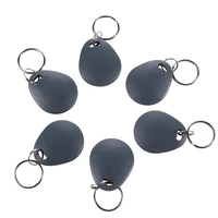 10Pcs Gray RFID ID 125KHz EM4305 T5577 Waterproof Blank Key Ring Tag Copy Writable Rewritable Keyfobs Card Fast Shipping 2