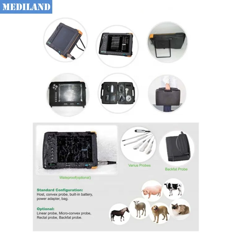 

Veterinary tools and equipments 7in TFT screen Palm Ultrasound Convex B Scan backfat linear rectal probes waterproof optional