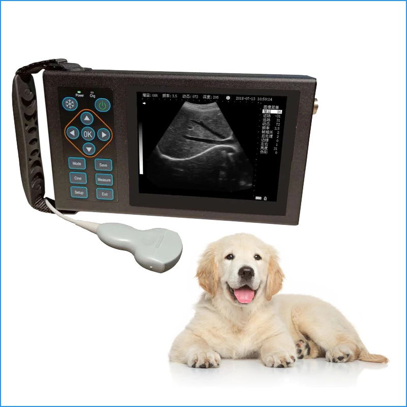 

Cheap ultrasound veterinary machine for animal pet dog cat use good price