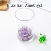 Brazilian Amethyst