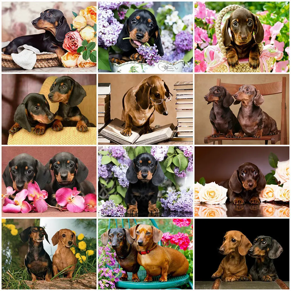 Schattige Kawaii Dierengezichten Eenvoudige Zwart Wit Iconen Beer Ca Hoofd,  Dier, Hoofd, Schattige Kawaii Dierengezichten Afbeelding PNG Met  Transparante Achtergrond Voor Gratis Download, image size:1000x1000