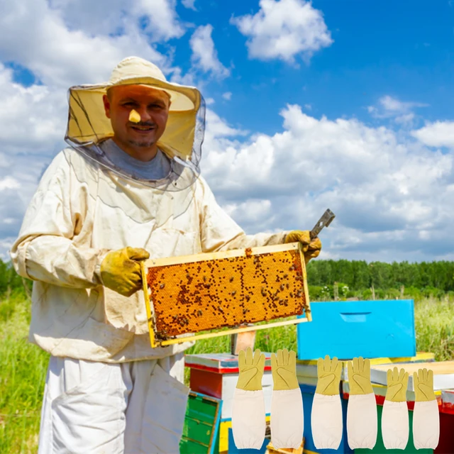 Vintage Beekeeping Equipment UK Wholesale