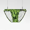 Fashion, Personality Trend Sexy U-convex Men, Panties Low Waist Nylon Crotch Breathable AD744 2