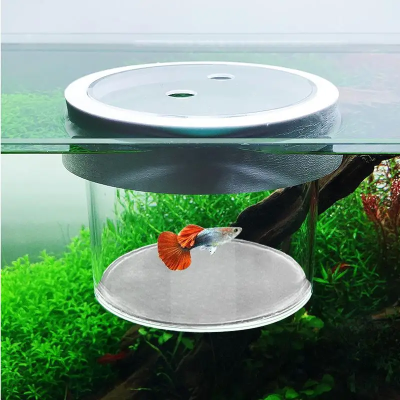 Fish Breeding Box Aquarium Fish breeding Box Durable Fish tank guppy breeding isolation box Clear Hatching Incubator For Baby Shrimp