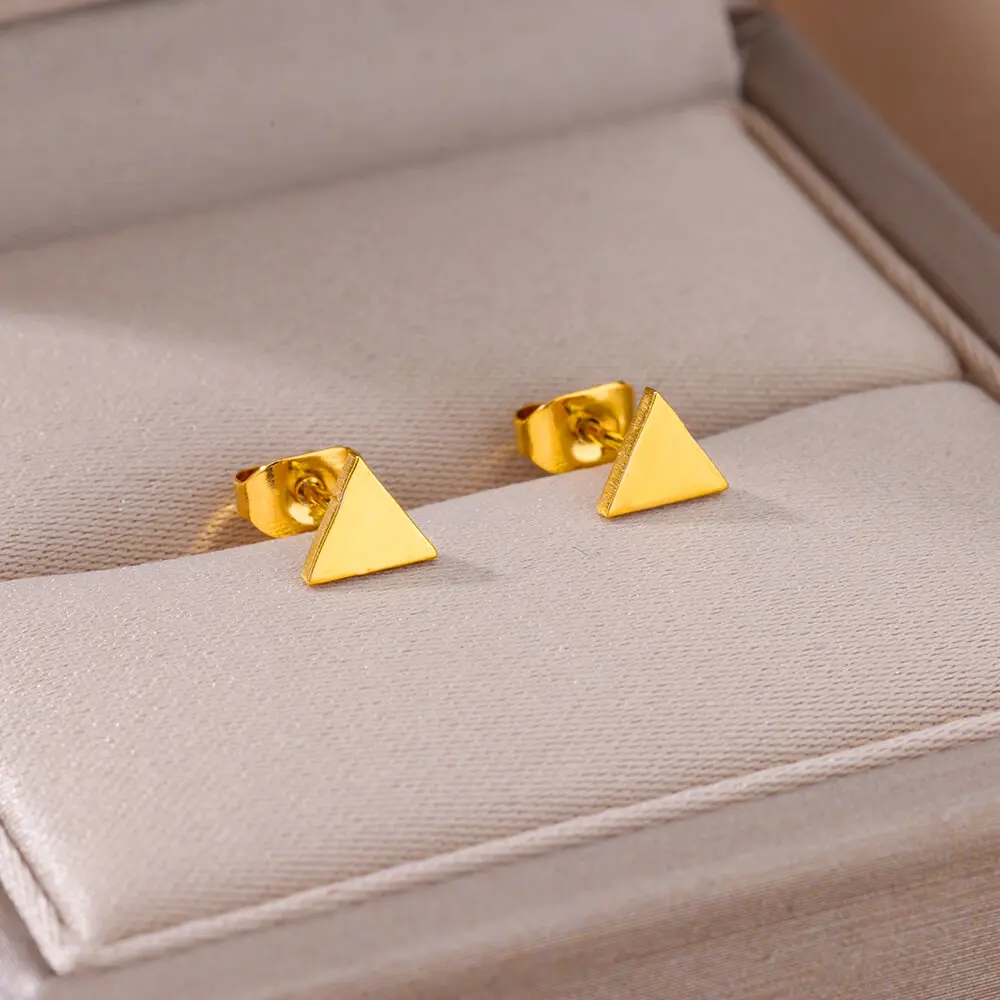 Gold Stainless Steel Earrings For Women