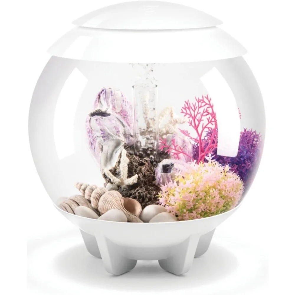

Multi-Color Remote-Controlled LED Lights Aquarium, Modern Compact Tank, Tabletop or Desktop Display, 4 Gallon