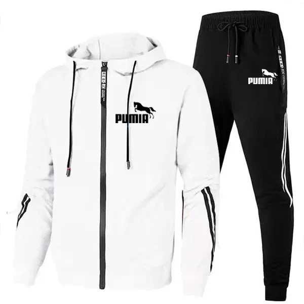 Men's Hooded Workout Set, Long Jacket & Sweatshirt, Sports Casual Sweatshirt, Running Suit, Autumn, Winter, Design, 2 Pieces