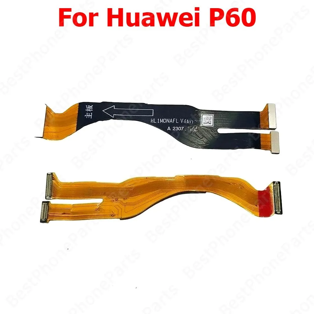 P60