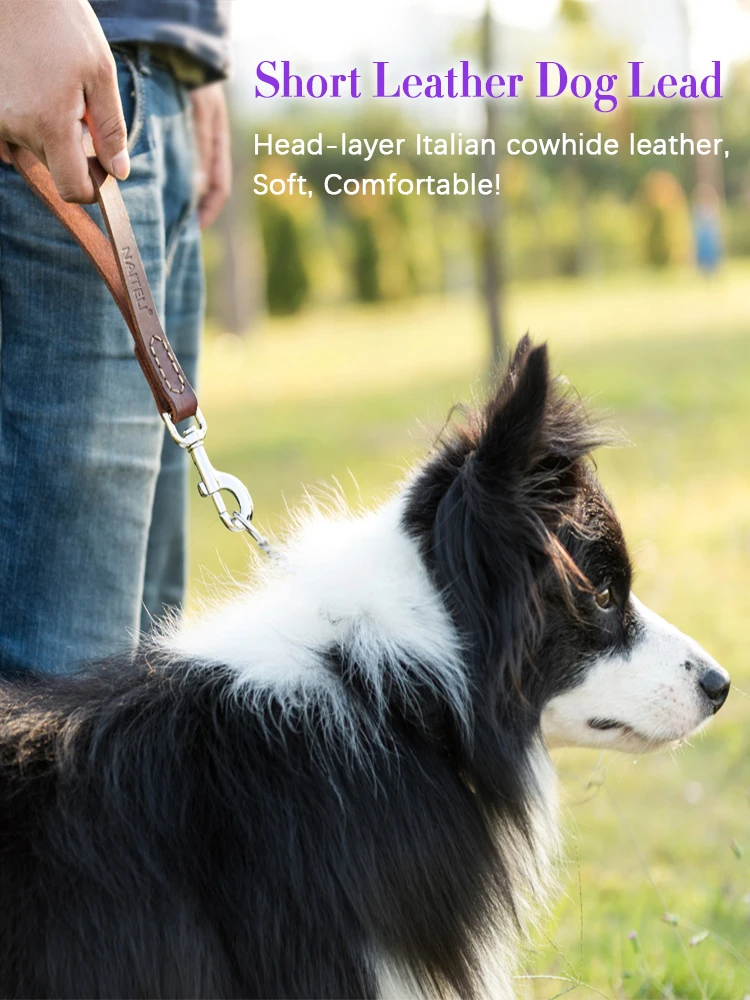 

Luxury Short Leather Dog Leash Strong Durable Anti Shock Soft leather leash for Medium Big Large XL Pet Dogs Lead Safety Harness