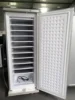 198L DC 24V Ice Block Upright Freezer 11lays/7 Lays Commercial Solar Panel Gel Battery 70kg Per 24 Hours DIY Solar Ice Maker 4