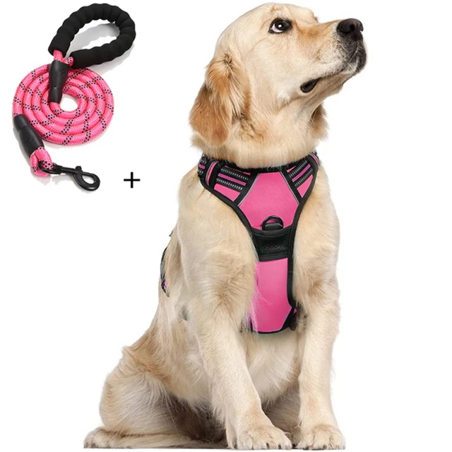 Harness Dog Chest Reflective Safety Adjustable Dog Training Collar 1