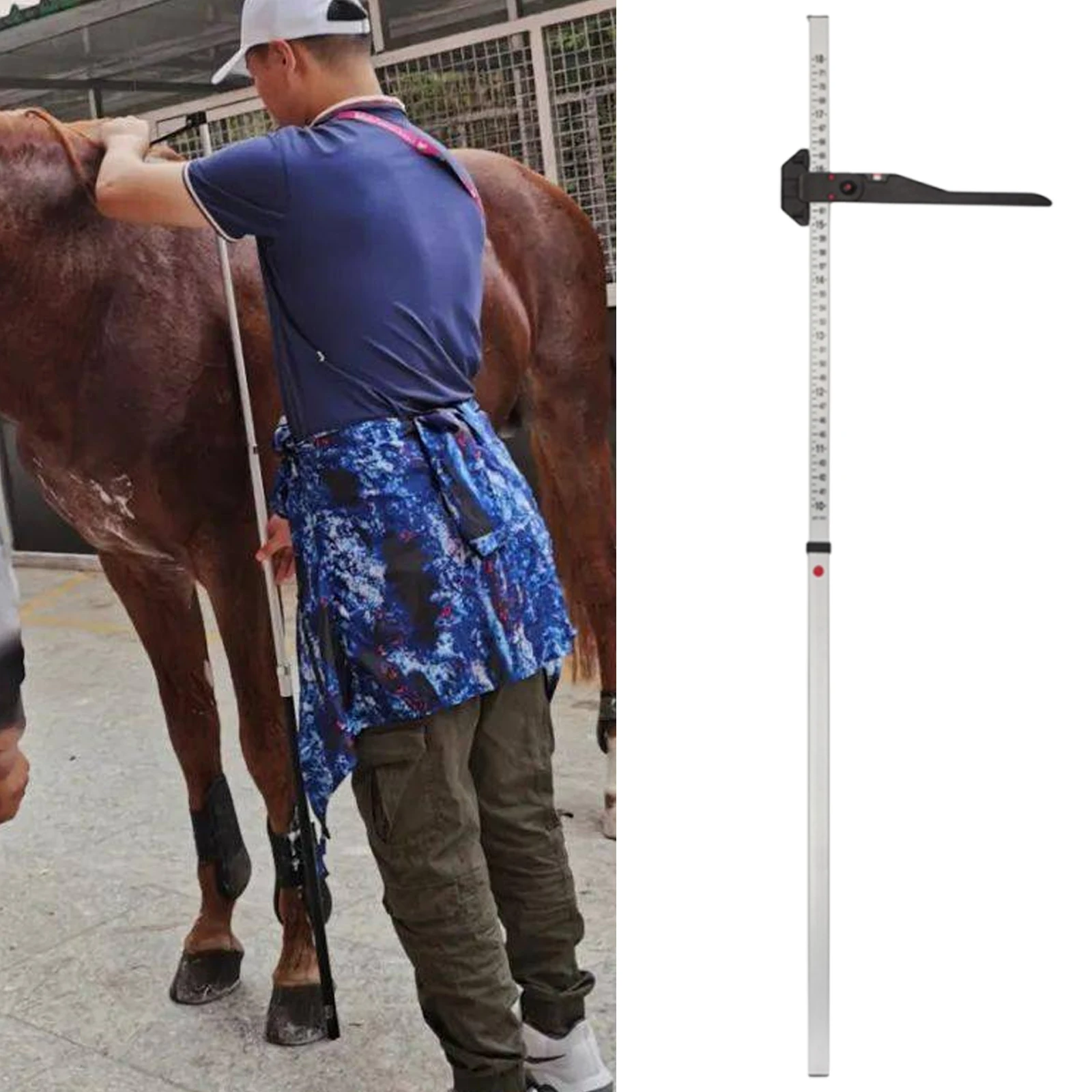 Horse Height Measuring Stick Multifunction Horse Height Ruler for Farm