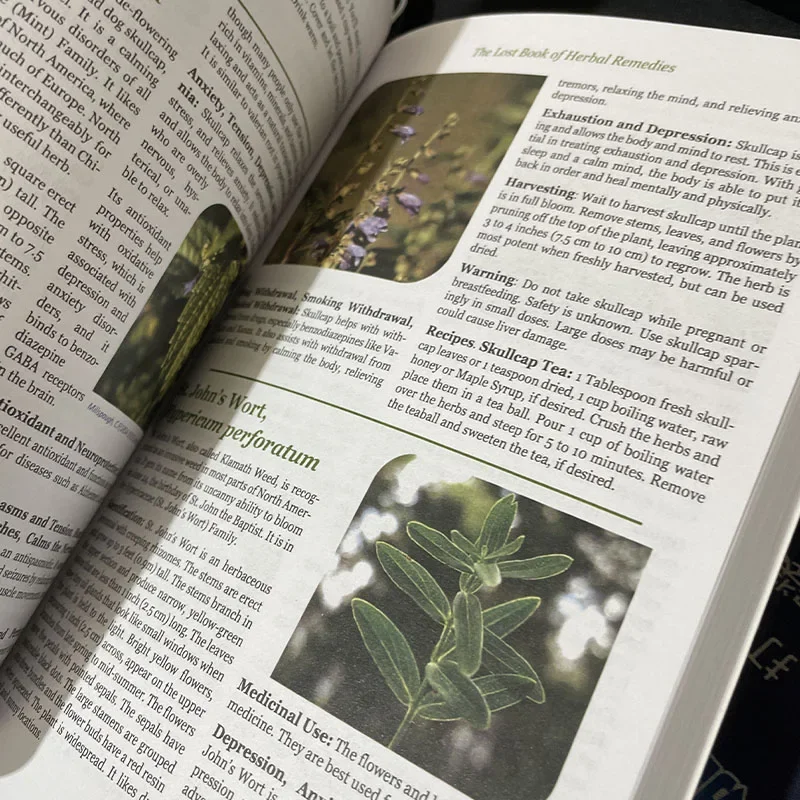 The Lost Book of Herbal Remedies The Healing Power of Plant Medicine Paperback Colored English Books