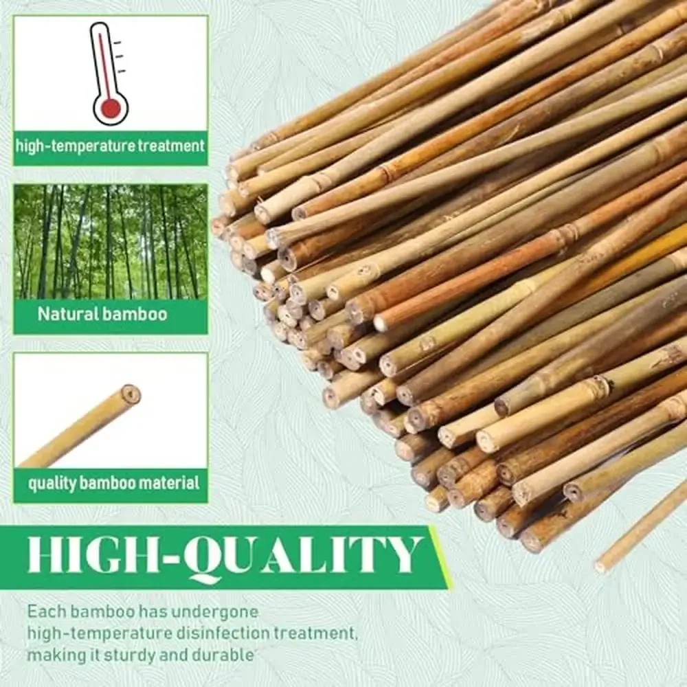 100 Pcs Bamboo Plant Support Stakes Tomato Bean Flowers Trees Indoor Outdoor Garden Sticks Reliable Durable Quality Easy