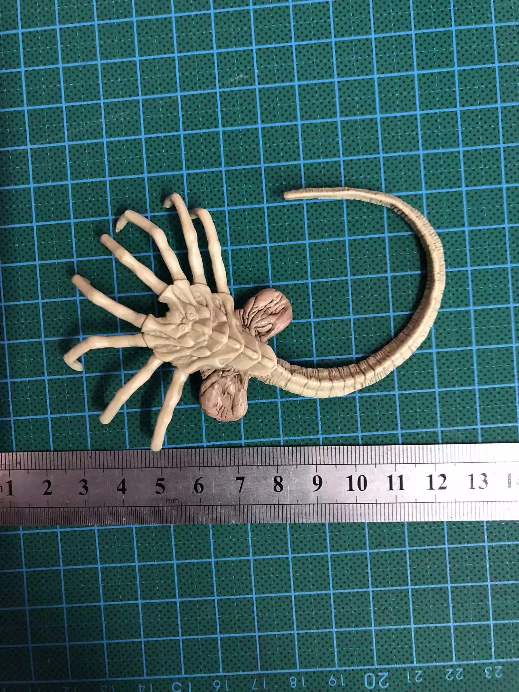 Fire Girl FG027 FG028 1/6 Alien Chestburster Facehugger ǱԾ   ׼ ǰ 12 '' ׼ ǱԾ ٵ