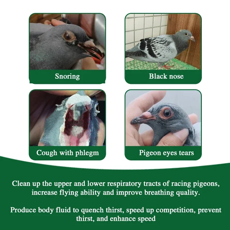 Clean up the respiratory tract, increase flying ability, improve breathing quality, dove medication, snoring and snoring 2