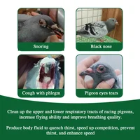 Clean up the respiratory tract, increase flying ability, improve breathing quality, dove medication, snoring and snoring 2