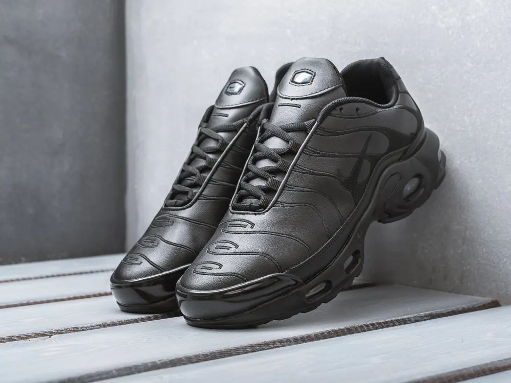 Кроссовки Nike Air Max Plus TN Черный Демисезон Мужской | Обувь