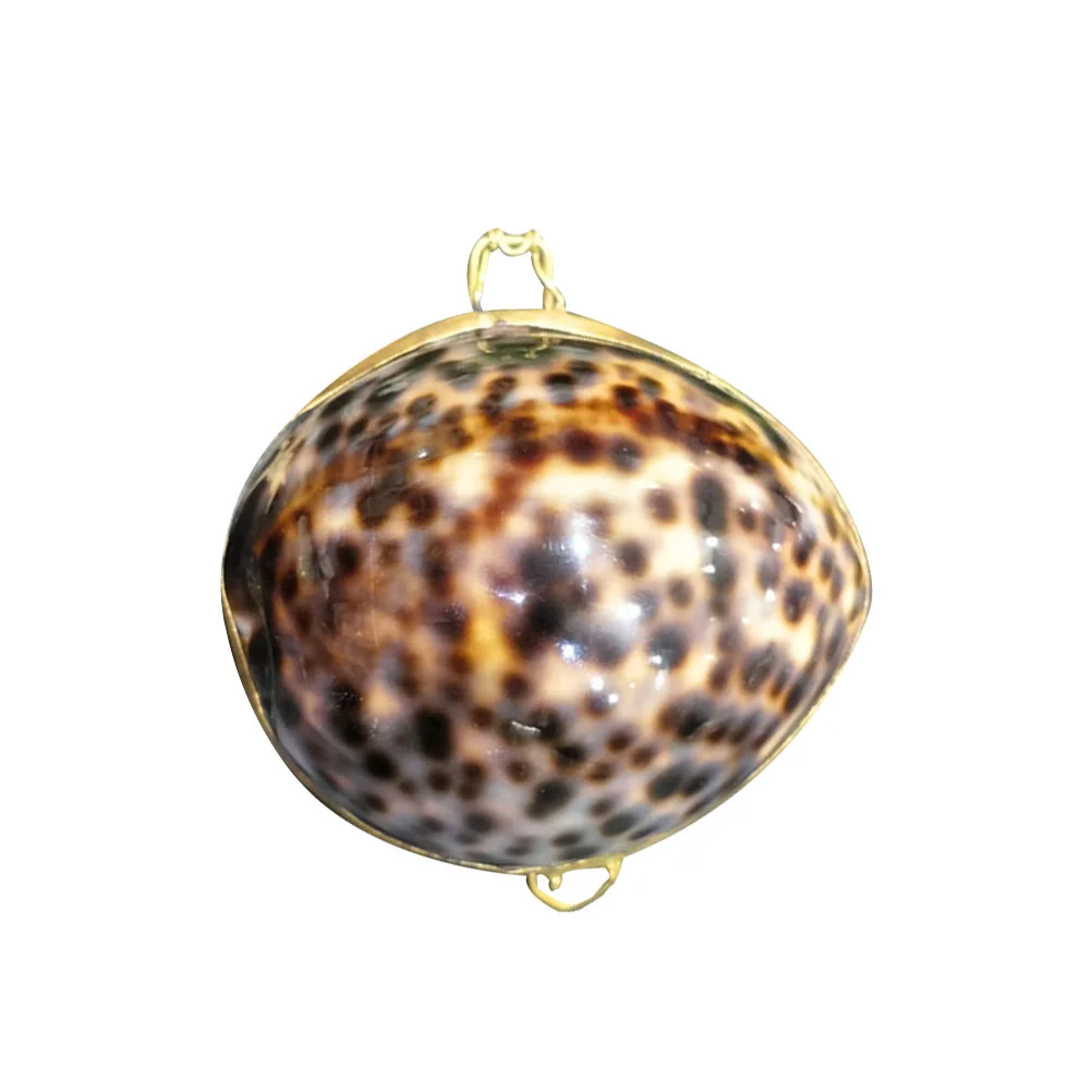 1pc Shell Jewelry Box Ring Earring Case Gift Packing Boxes Sundries ...