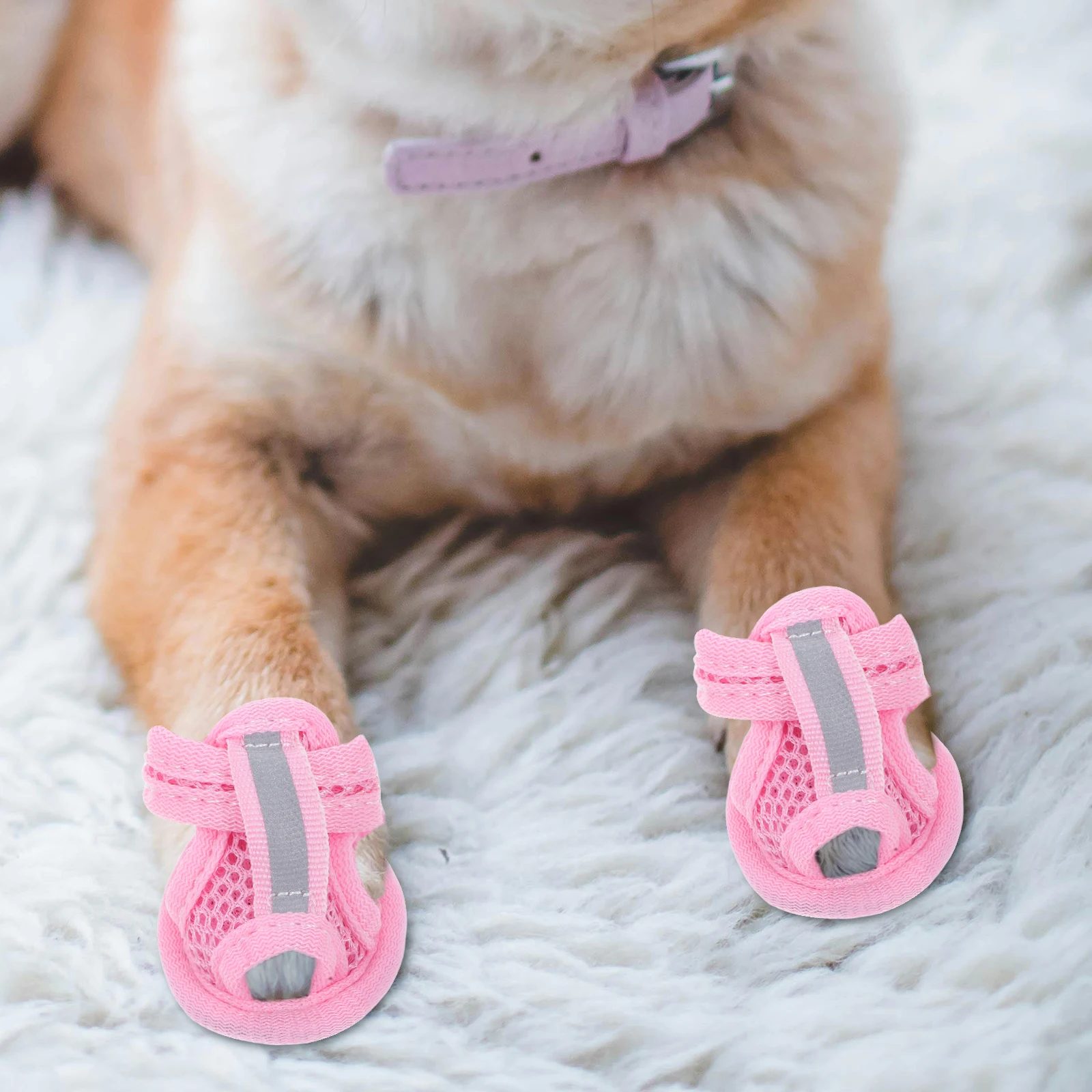 Breathable Mesh Summer Dog Shoes 5