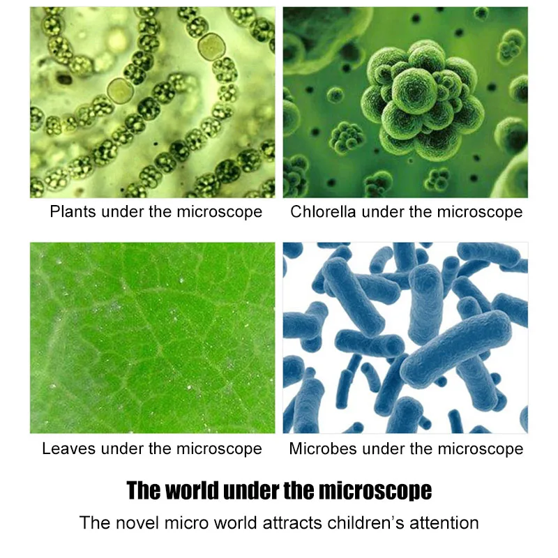 Microscope Kit LED 100X 400X 1200X Lab Microscope Home School Science Educational Toy Gift Biological Microscope for Children 6