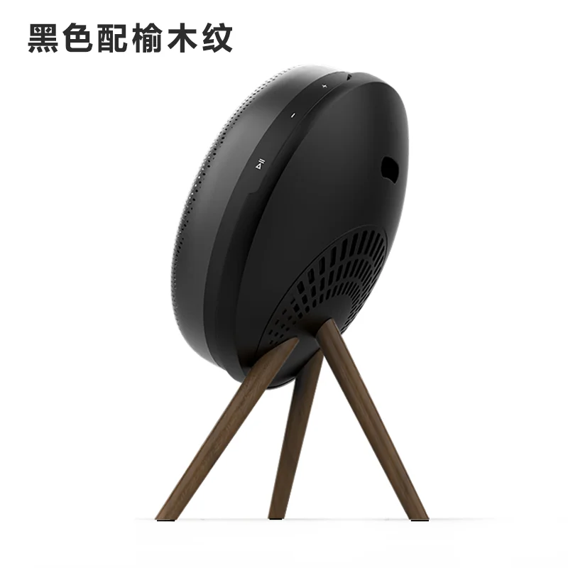 B&O Beosound A1 2nd Gen Second Generation Wireless Bluetooth