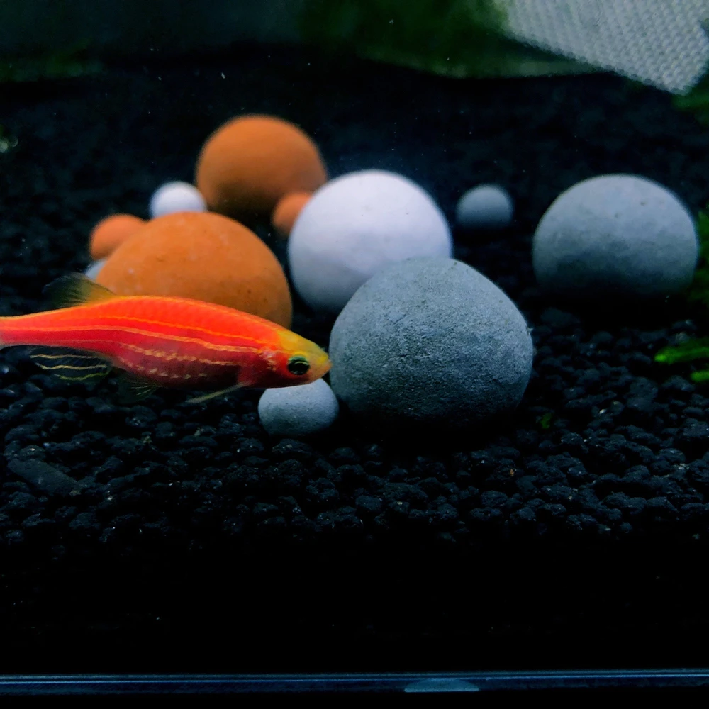 Tourmaline Long Time Effect Slow Release Aquarium Water Purification Living Water Mineral Ball Crystal Red Bee Shrimp tank fish tank water purifier