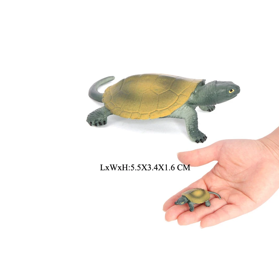 Realistic Sea Turtle Growth Cycle Educational Toy and Cake Topper Gift