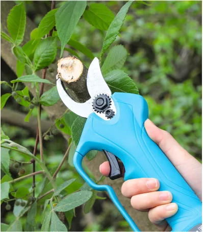 Electric Pruning Shears Garden Scissors Fruit Tree Bushes Trimmer With High Altitude Extension Pole