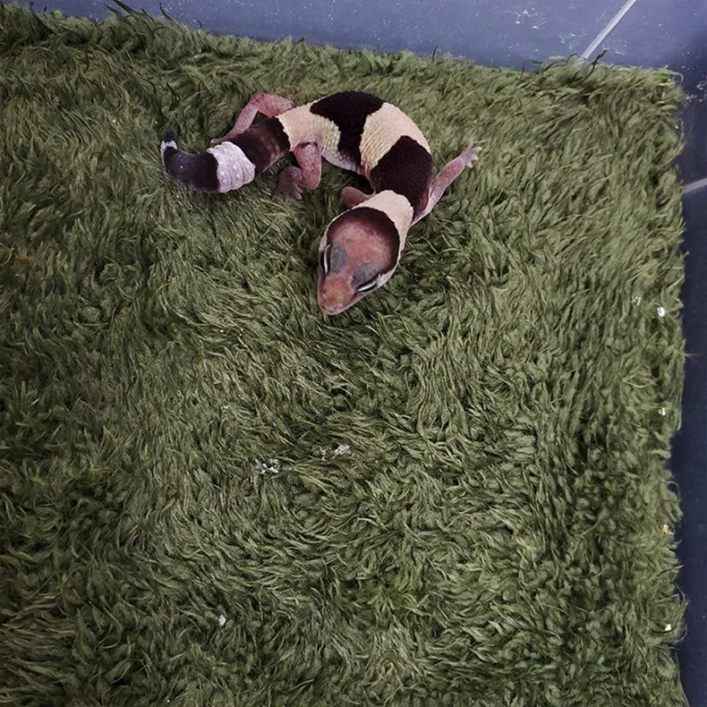 Reptile Moss Carpet Crawl Pets Fake Lawn Home Terrarium Cushion (Green), Size: 30X20X0.5CM