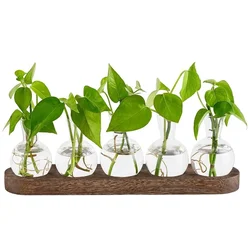 Modern Glass Terrarium with Wooden Tray - Decorative Desktop Plant Propagation Station & Home Decor Planter (Style B - 5PCS)