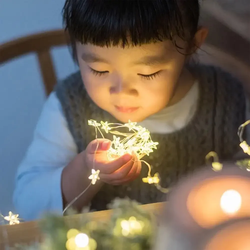 Star Copper LED Fairy Lights - USB/Battery Operated Decorative String for Home and Holiday Ambiance