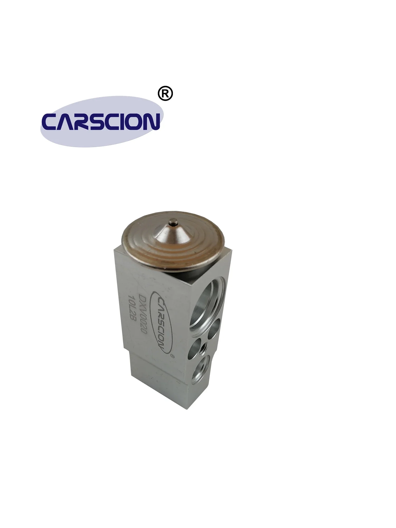 CARSCION Expansion Valve,Fit VOLVO S60,V60,XC60,S80,V70/III/Mk,XC70,Land Rover,Freelander 2,31291817,30780313,30733930,DXV0020