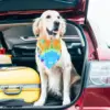 50 Pcs Tie Dye Dog Bandanas Bulk Spring Summer for Pet Grooming Salon Triangle Washable Dog Bib Kerchief for Small Medium Large 5
