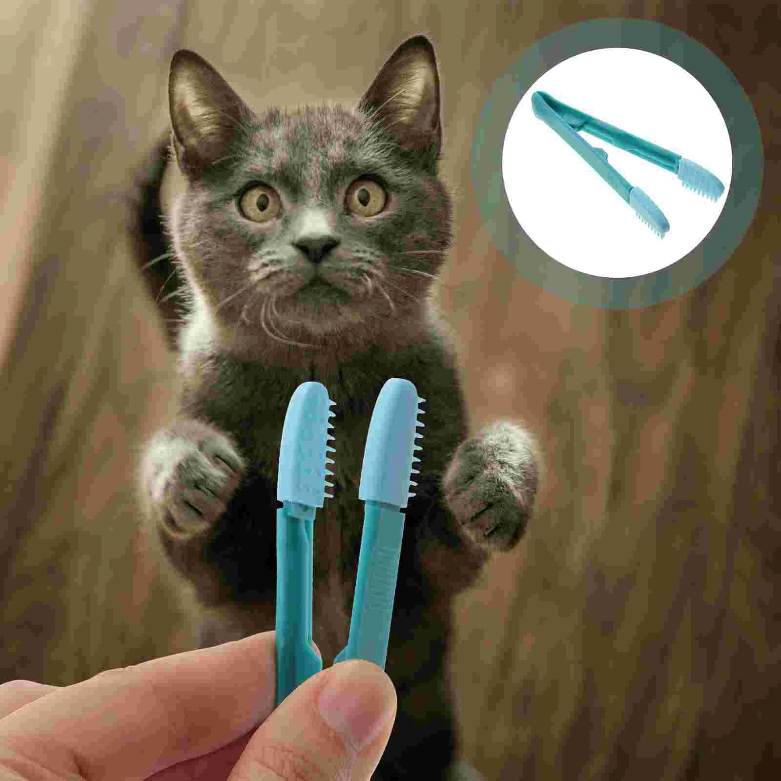 

Cat Eye Cleaning Brush Pet Hair Supply Human Body The House on Dog Silica Gel Small Grooming Tear Stain Remover