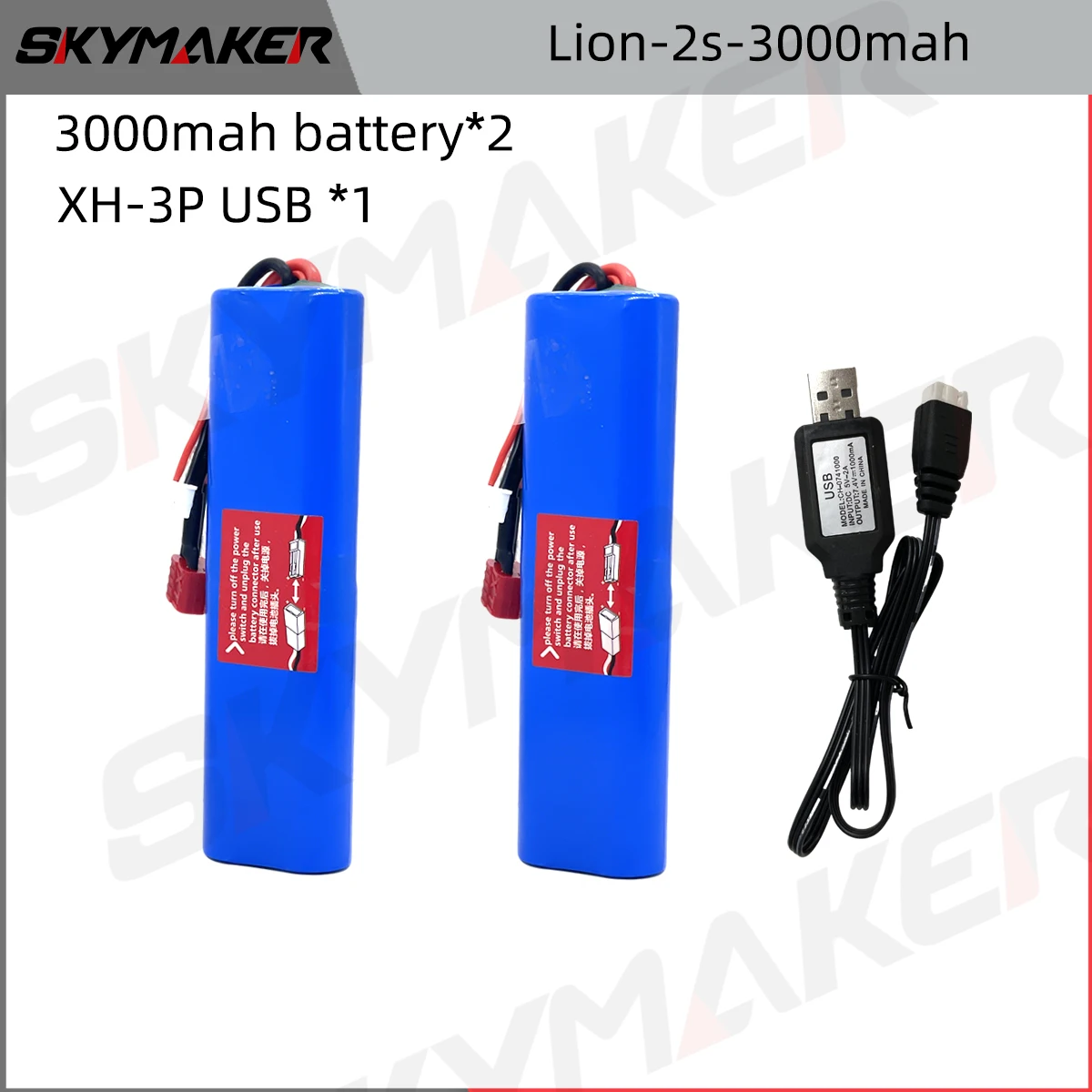 Lion-2s3000-2B-1LX3