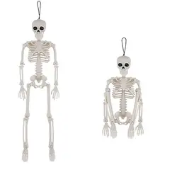 Posable Skeleton with Lifelike Skull for Spooky Halloween Decor (A1)