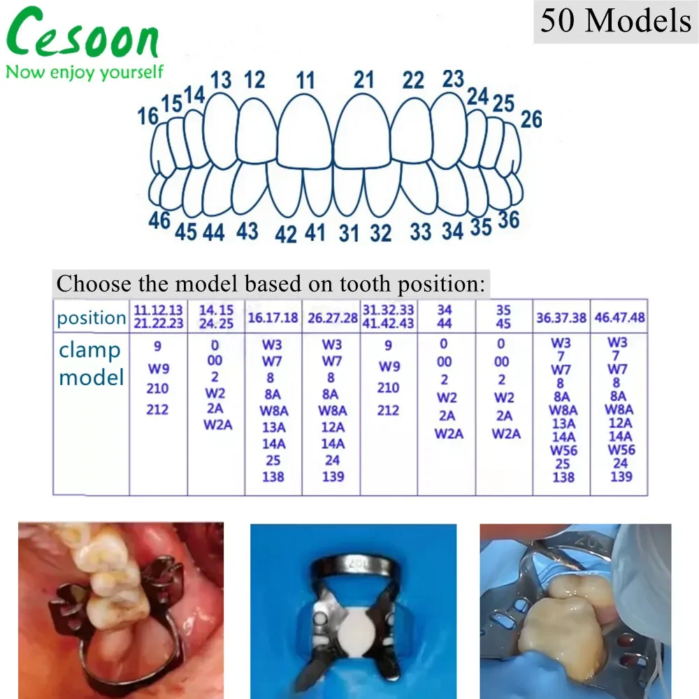 Morsetti per diga in gomma dentale Clip per barriera riparatrice endodontica Supporto per telaio in acciaio inossidabile Denti molari Materiali per odontoiatria orale  66