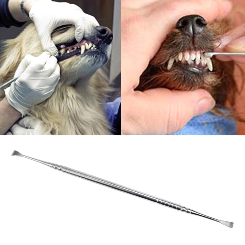 Herramientas Cuidado Dental Kit Limpieza Dental Mascotas - Raspador Sarro Y Palillo Acero Inoxidable - Para Perros Y Gatos Herramientas Acero Inoxidable Dientes