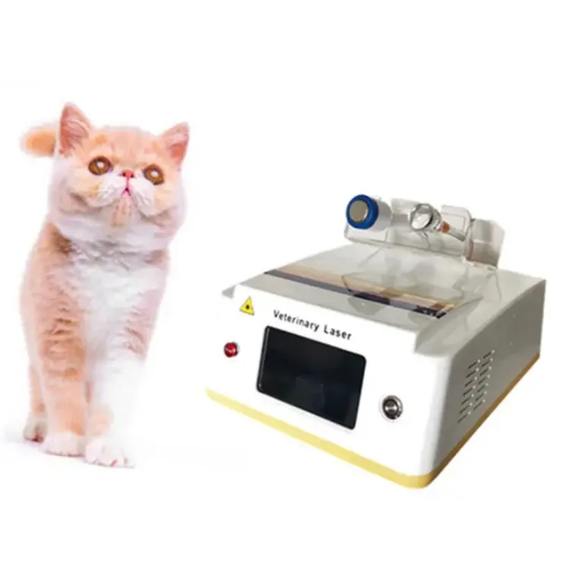 

980Nm Laser Veterinary Dog Therapy Machine For Veterinary Pain Removal