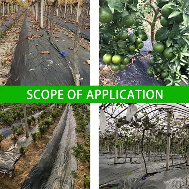 Horgonyzó Tét A Tájhoz 10Pcs Pp Szegélyszálak 10Db Tüskék Köröm Táj Szegély Gyep Szegélyéhez - Image 5