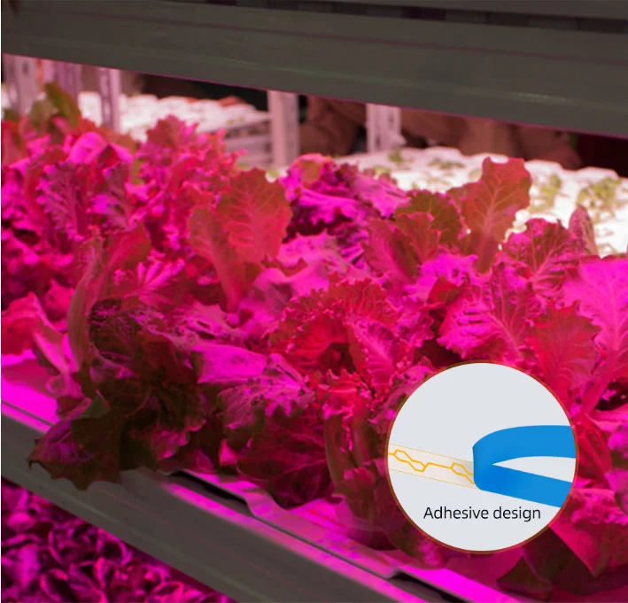 LED Grow Light Full Spectrum USB Grow Light Strip 0.5m 1m 2m 2835 Chip LED Phyto Lamp Plants Flowers Greenhouse Hydroponic