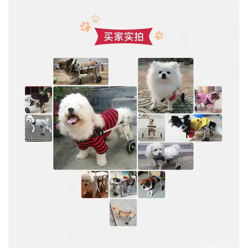 Dog wheelchair hind limbs pet scooter disabled dog hind legs assisted cat large small dog bracket